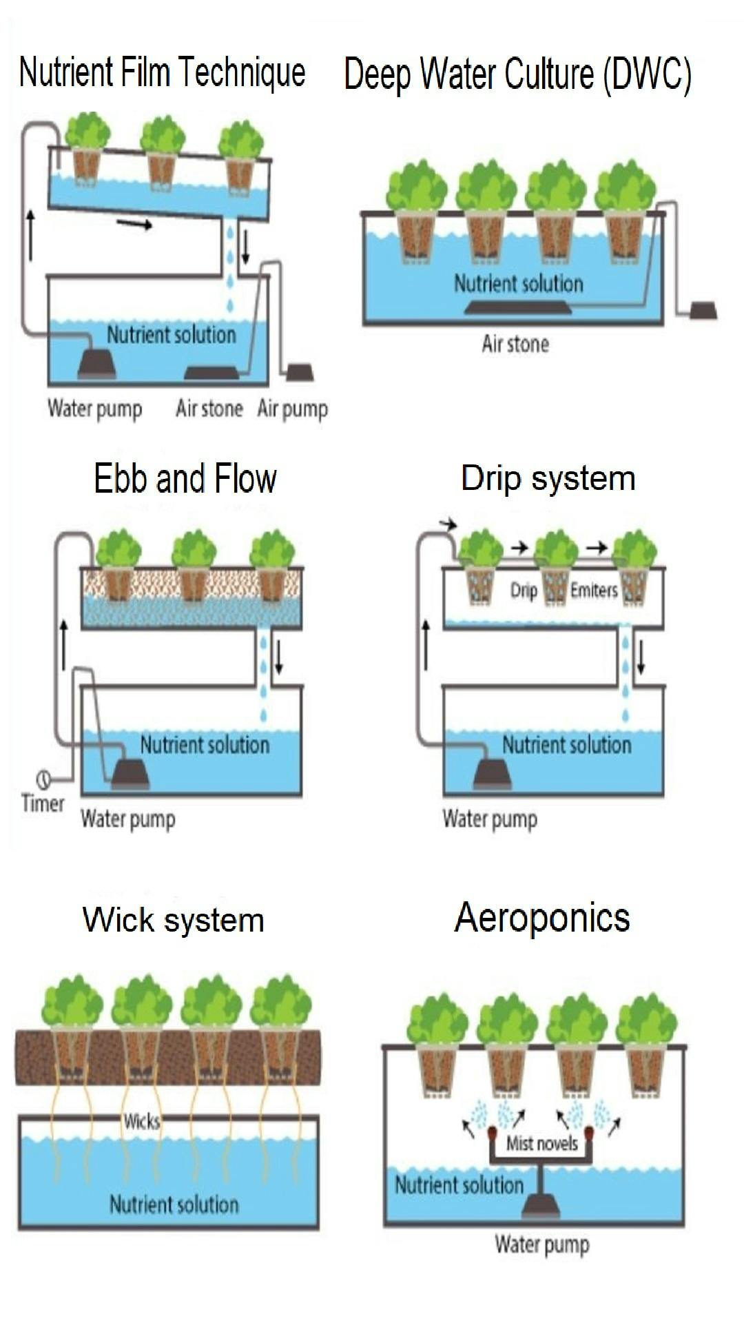 Collage of Deep Water Culture System, Wick System, Aeroponic System, Nutrient-Film Technique Hydroponic System, Dutch Bucket System, and EBB and Flow System