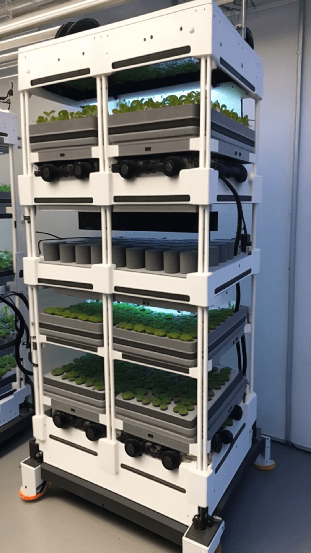 Vertical Farming using Hydroponic technique with growth lights inside a room